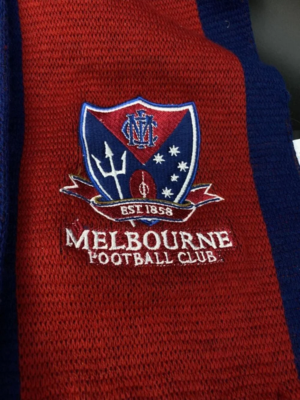 Melbourne Demons 2011 member